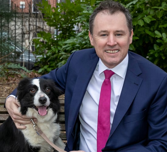 DAFM to co-sponsor International Sheepdog Trials