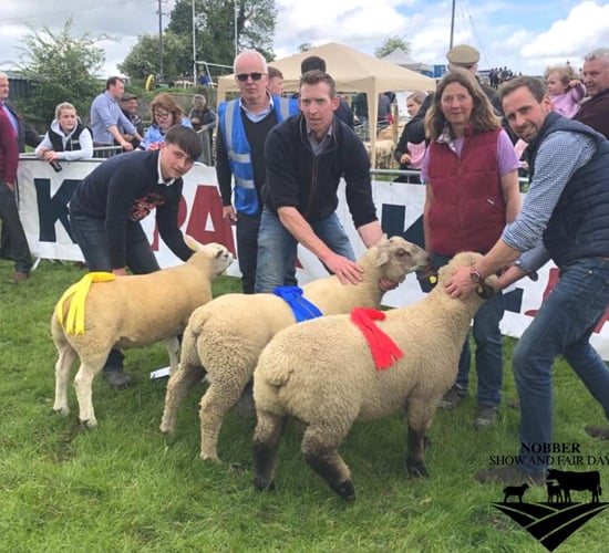 Nobber Show promises attractive prize fund