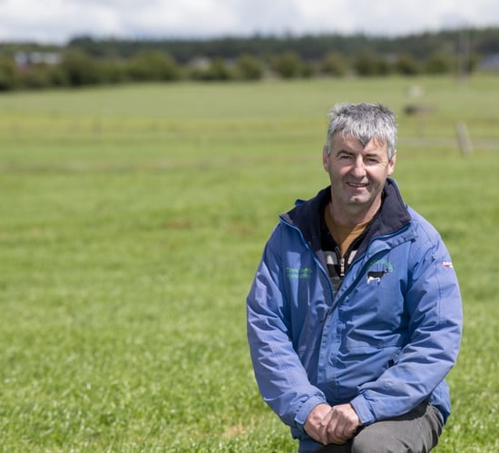 Grazing trials paying off on Galway dairy farm