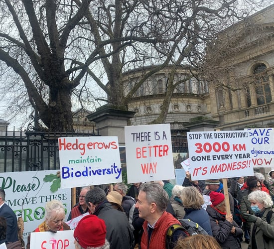 Minister under pressure as hedgerow protesters demand change