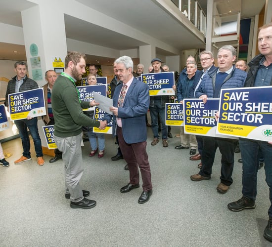 IFA presents submission to DAFM on sheep sector crisis