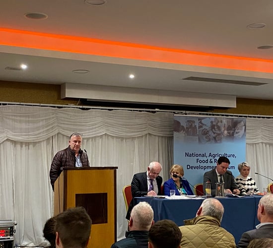 Aurivo GM: Breeding ewe and sucklers 'backbone of rural Ireland'