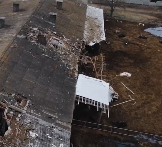 Graphic video: 'Ukrainian farmers cannot risk their lives on minefields'