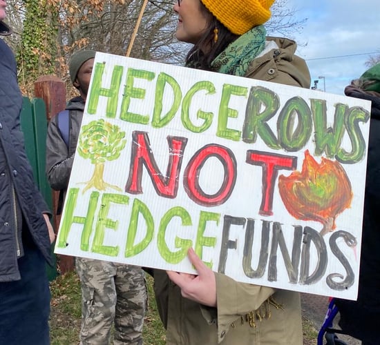 Video: Save our Forests Alliance protests at Coillte HQ