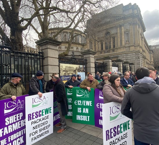 Crowds turn out as sheep protest gets underway outside Dáil