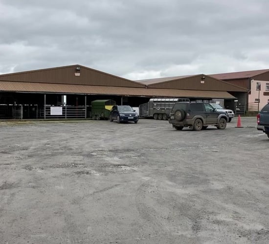 Mountbellew Mart licence temporarily suspended