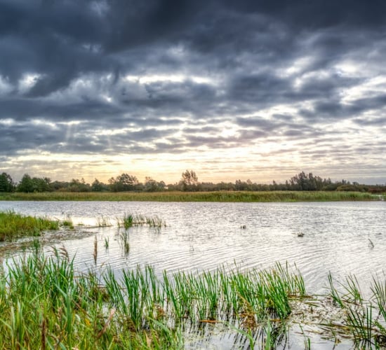 Cyclones could cost New Zealand farmers up to NZ$422m