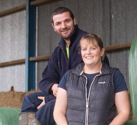 UK farmers to breed 'ultra-low-emission' sheep