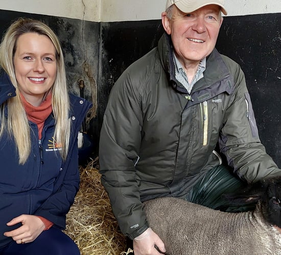 Donegal lambs on milk replacer outperform twins suckling ewe