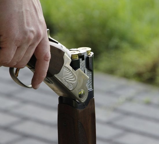 Gun owner groups in north and south link up to 'share expertise'
