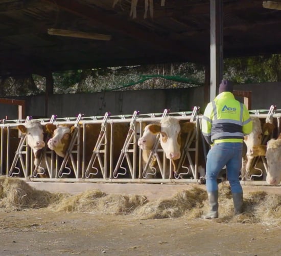 No more chemical fertiliser costs for Limerick beef farm