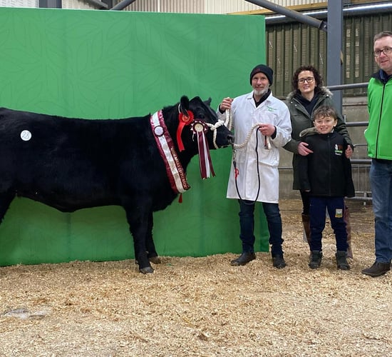 Average price of €3,550 for Angus bulls at Carrick sale