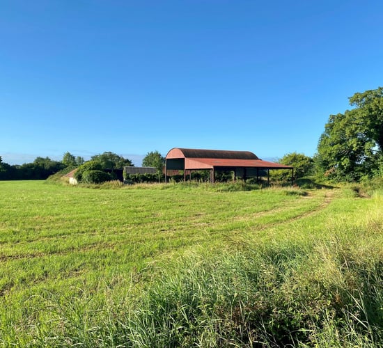 83ac Ballyfin farm in Laois for auction in multiple lots