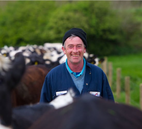 Tributes paid to 'highly regarded' Kilkenny dairy farmer