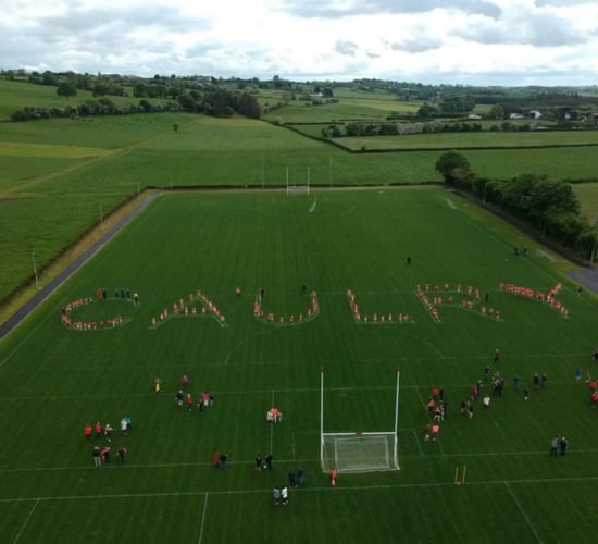 GAA club offers fertiliser as top prize in raffle