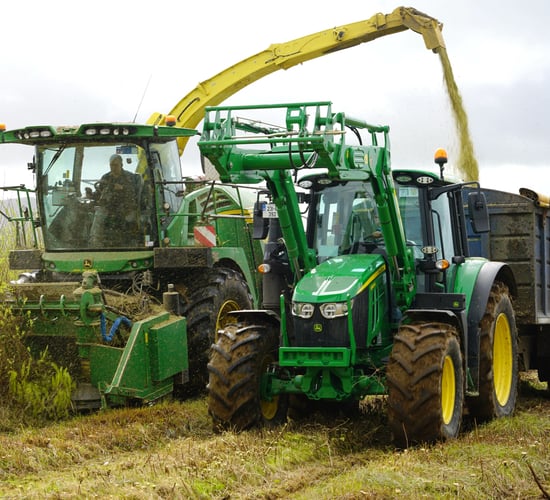 Watch: Harvesting willow for heat at Gurteen College