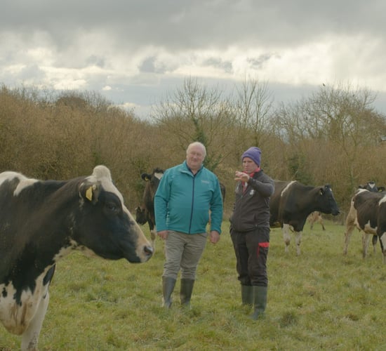 Breeding Series 2023 Long term development, not short term gains