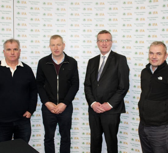 IFA calls for an immediate increase in retail potato prices