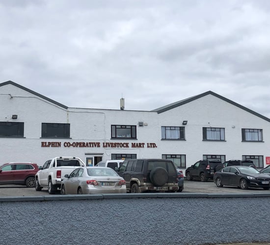 Elphin Mart cancels sales due to power issues from Storm Darragh