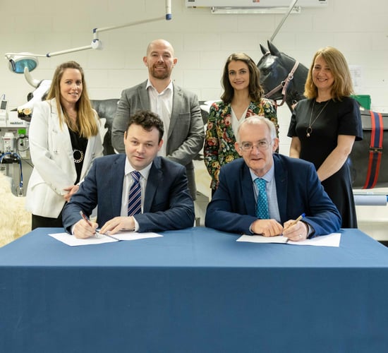 DkIT partners with Veterinary Specialists Ireland