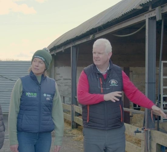 March Animal Health Series: How to tackle pneumonia in calves