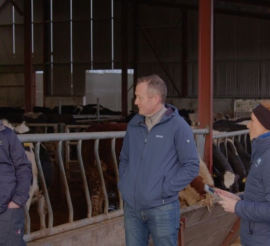 March Animal Health Series: Vaccination, nutrition and heat detection