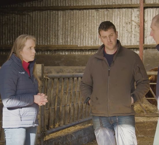 March Animal Health Series: Preventing and controlling coccidiosis