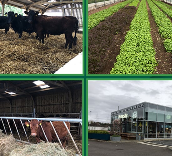 Beef Focus: West of Ireland organic farm-to-fork business