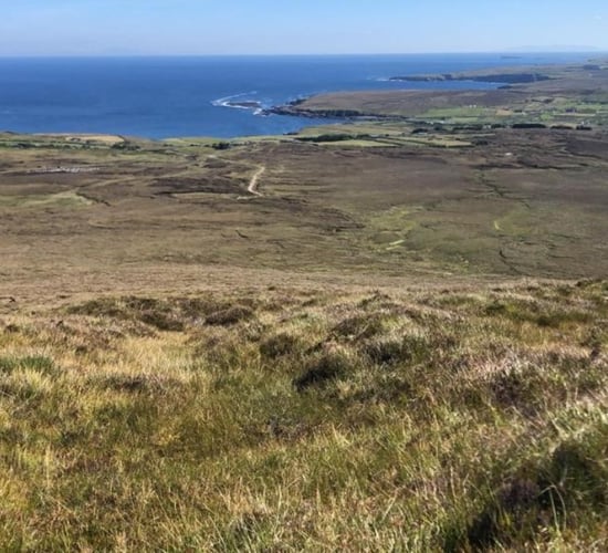Healy-Rae comments on forestry and peat draw IPCC ire