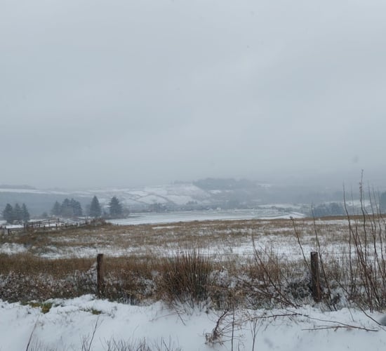 Thousands of homes and farms without power due to snow impacts