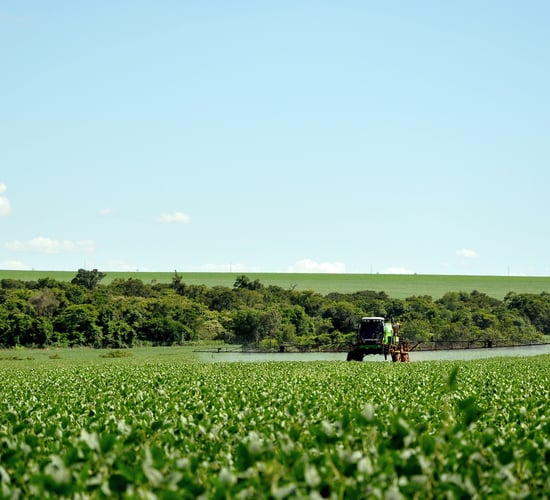 OECD: $851bn government support for agriculture during pandemic