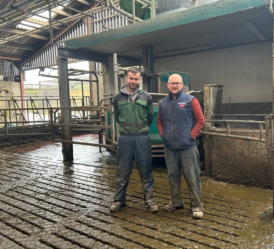 Dairy Throwback: Milking 240 cows with 4 GEA robots in Co. Antrim