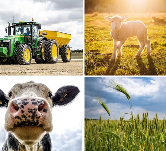 Agricultural operating surplus soars to €4.6bn in 2022 - CSO