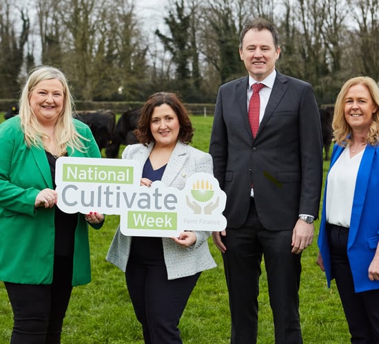 Cultivate Credit Union loan applications increase by 33%