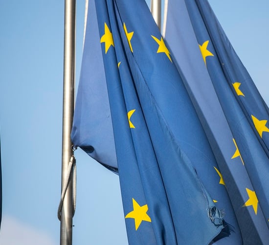 EU farm org leaders stress Mercosur 'tension' to new commissioner