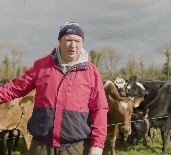 Breeding series 2023: ‘There’s no square on the milk cheque for EBI’