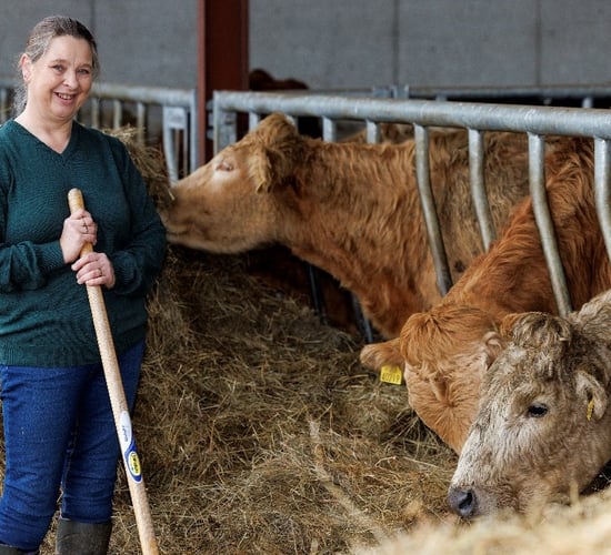 Beef farmer builds winter housing with Cultivate loan