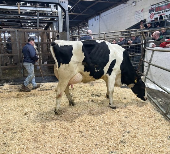 Prices reach 3,800gns at Taaffe Auctions' monthly sale