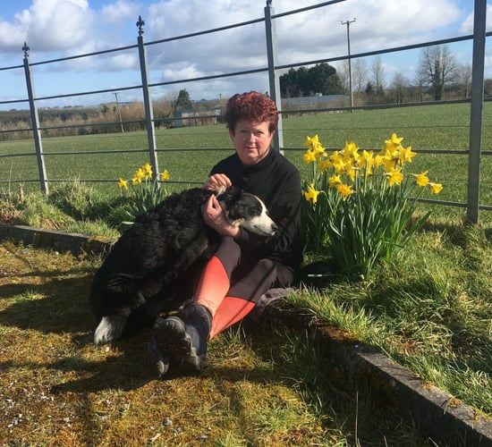 'Farming and fostering can go hand in hand'