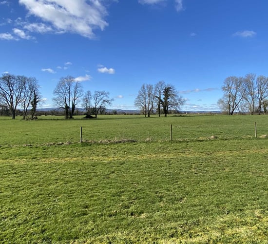 'Valuable' land for sale at Mountshannon, Lisnagry