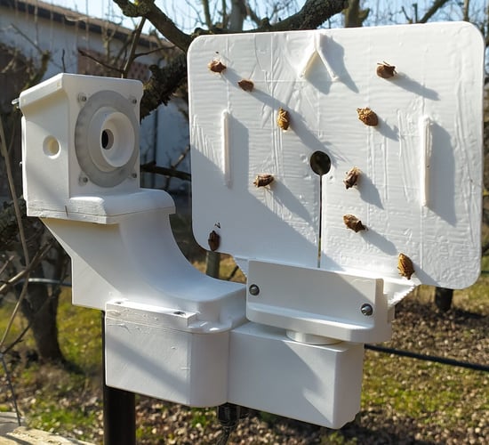 Cork researchers using AI to monitor invasive insect species