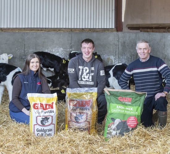 Improving calf growth and performance in Kilkenny