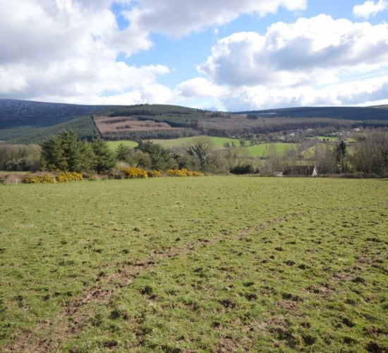 49ac Tinahely holding hits the market