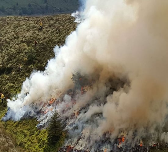 NIEA opens consultation on wildfire management in NI