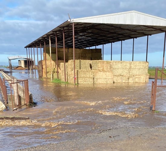 USDA outlines support for California farmers affected by floods