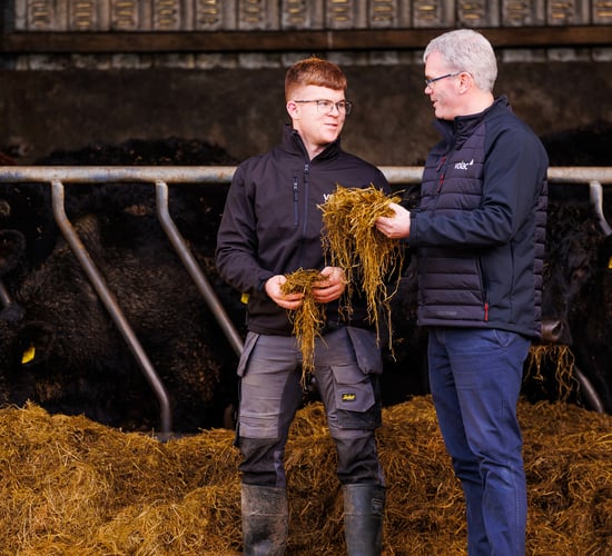 Mayo farmer achieving 75-80% DMD silage