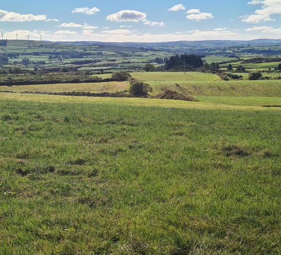 Derelict Drimoleague farmhouse on 70ac for sale