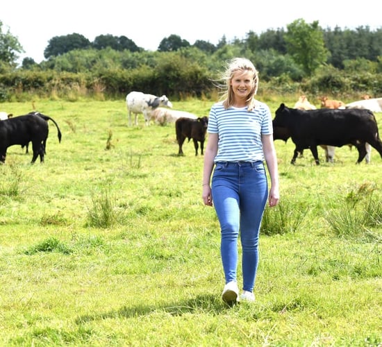 Kerrane calls for better use of Brexit fund