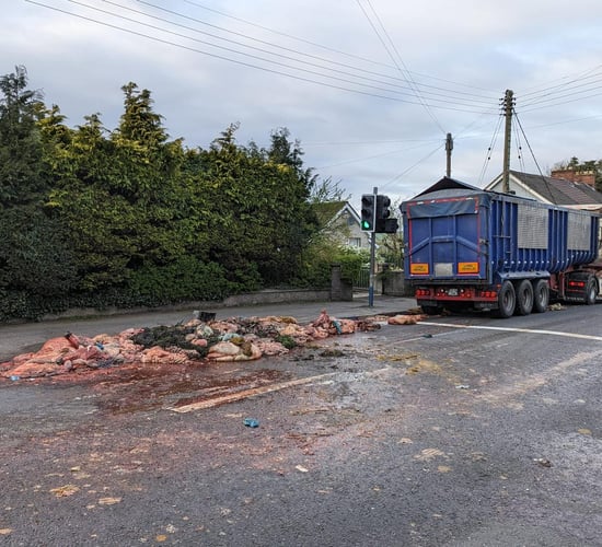 Video: Animal offal blocks road after lorry sheds load