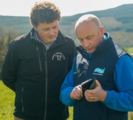 Data-driven fertility decisions on 200-cow Tipperary farm